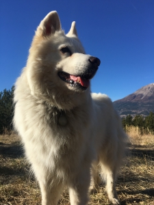Charana blue sky